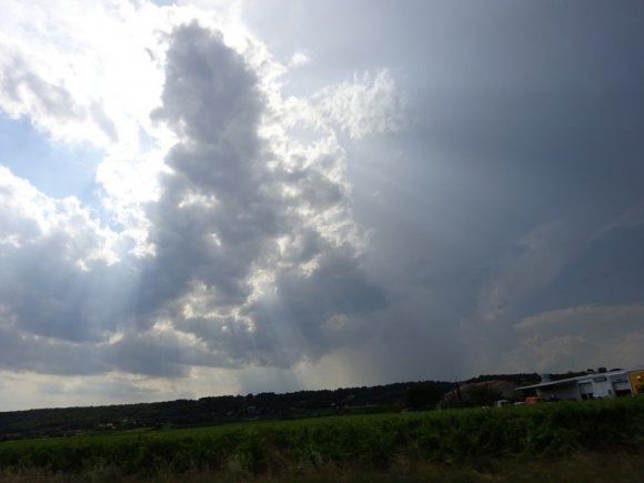DSC00686