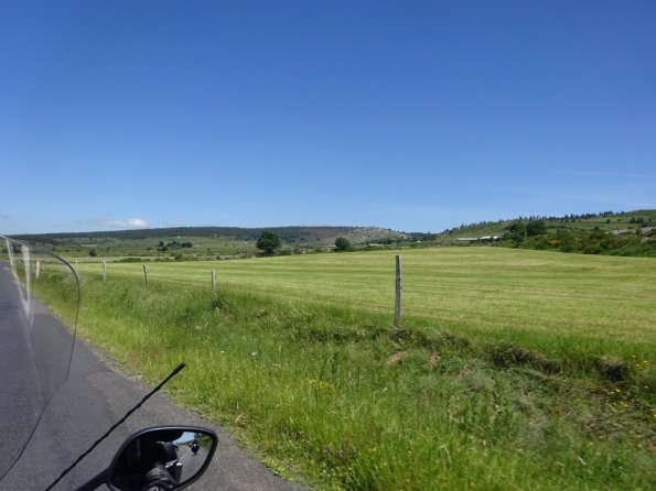 DSC00741