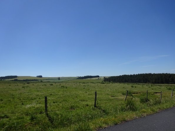 DSC00745