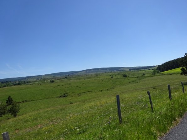 DSC00748