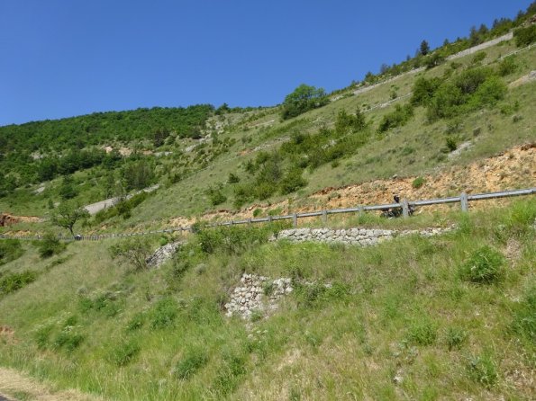 DSC00752