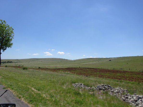 DSC00789