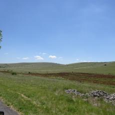 DSC00789