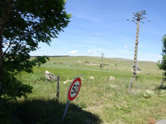 DSC00790