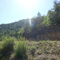 DSC00800