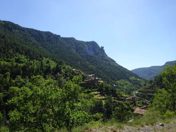 DSC00807
