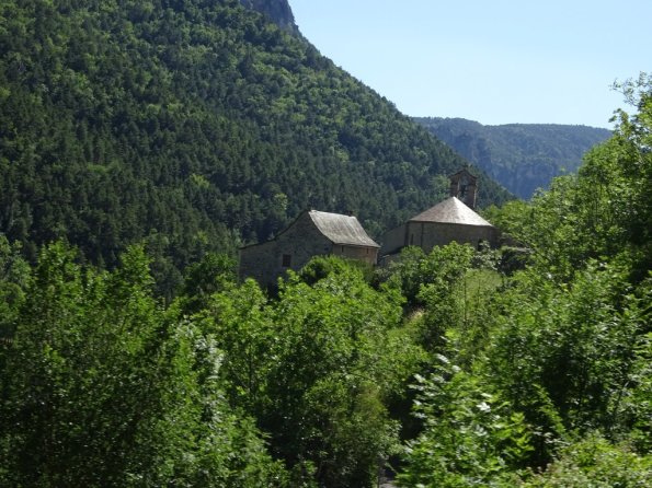 DSC00809
