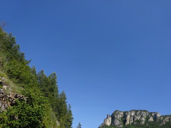 DSC00811