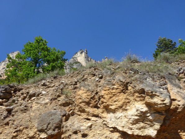 DSC00813