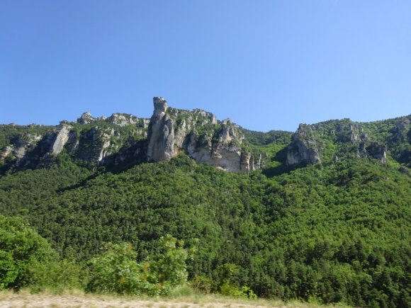 DSC00814