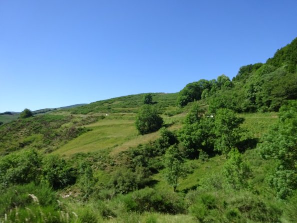 DSC00873