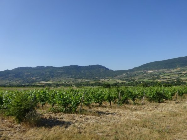 DSC00914