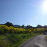 DSC00916