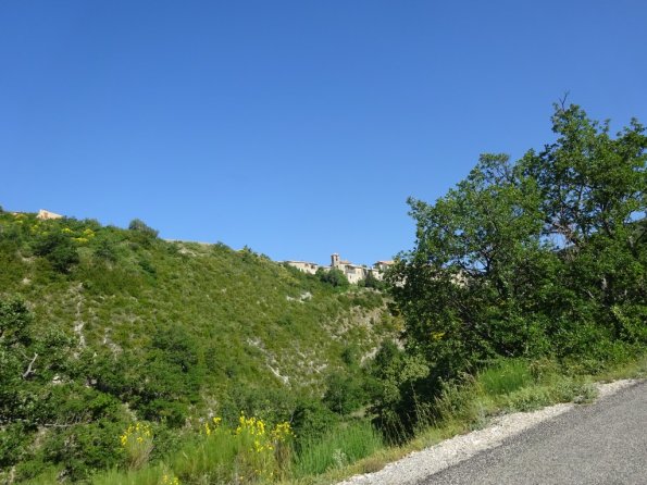 DSC00919