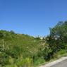 DSC00919