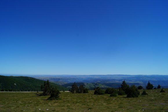 DSC02397