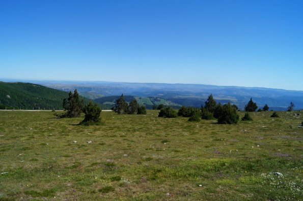 DSC02398