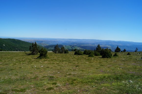 DSC02398
