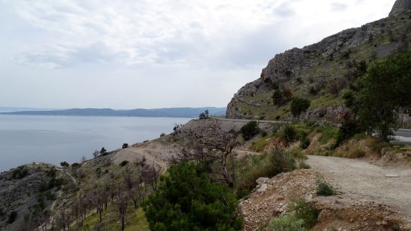 DSC07110