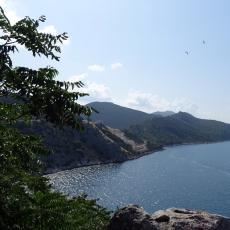 DSC07117