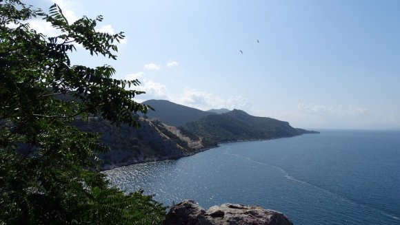DSC07117