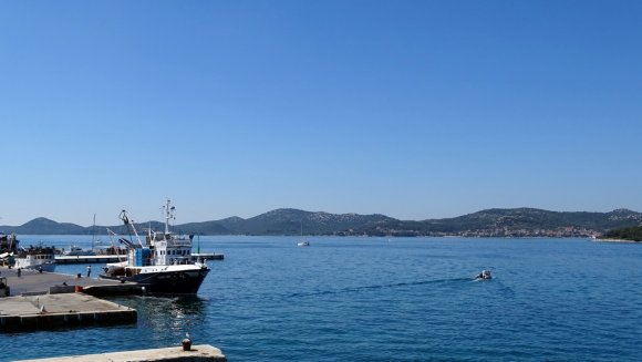 DSC07136