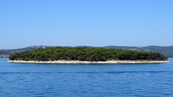 DSC07137