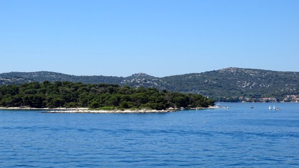 DSC07138