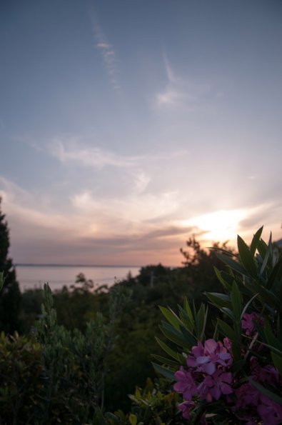 DSC_6750