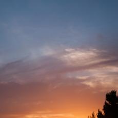 DSC_6766