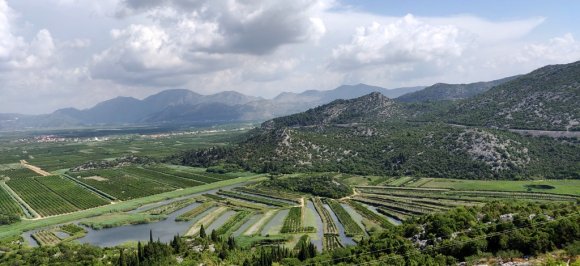 IMG_20190623_100638