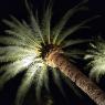 IMG_20190623_214331