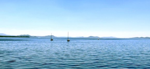 IMG_20190627_110909_01