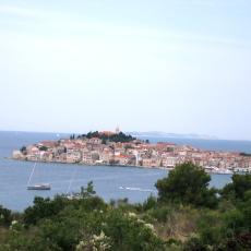 IMG_4923