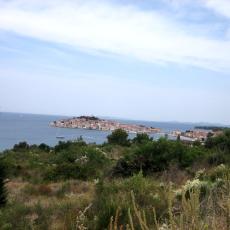 IMG_4924
