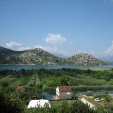IMG_4932