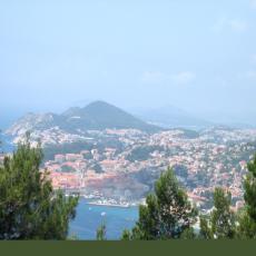 IMG_4940