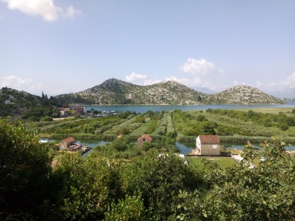 MVIMG_20190623_094614