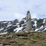 IMG-20210611-WA0014