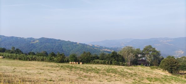 IMG_20220618_081449