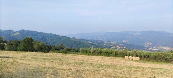 IMG_20220618_081456