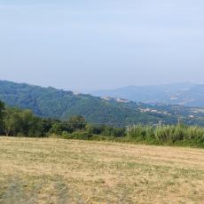IMG_20220618_081456