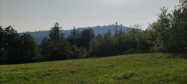 IMG_20220618_081527