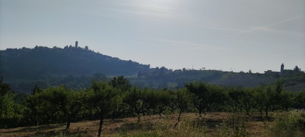IMG_20220618_081543