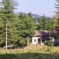 IMG_20220618_085105