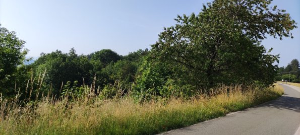 IMG_20220618_091708