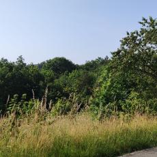 IMG_20220618_091708