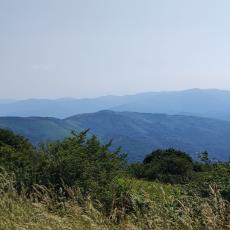 IMG_20220618_104203