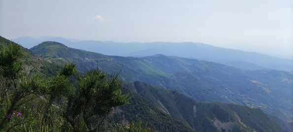 IMG_20220618_104941