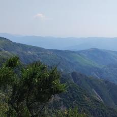 IMG_20220618_104941